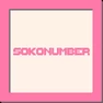 Sokonumber